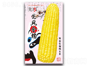 �ȷ��Ŵ-��Ŵ��������-�ȷ�