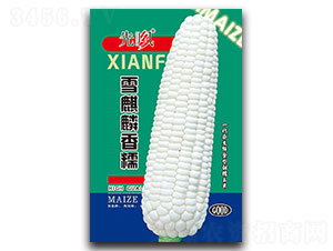 ѩ������Ŵ-Ŵ��������-�ȷ�
