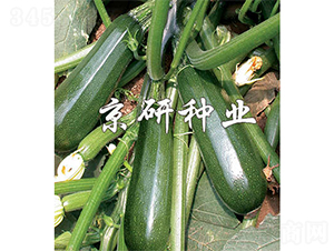 ����2��-����«����-����