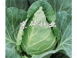 ţ��2��-��������-����