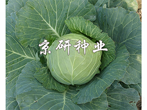 ����611-��������-����