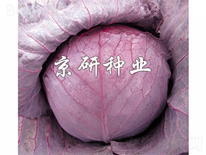 �ϸ�4��-��������-����