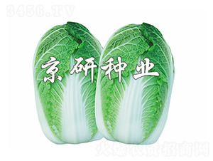 ������4��-���޲�����-����