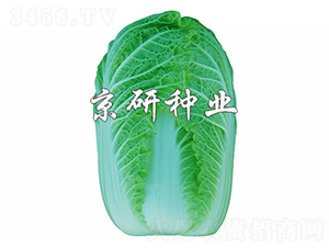 ������5��-���޲�����-����