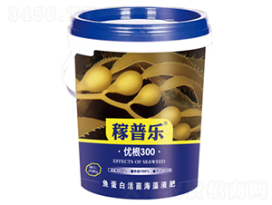 �Ÿ�300-������-�����ҵ