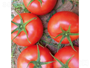 ˼����1018F1-��������-������ҵ