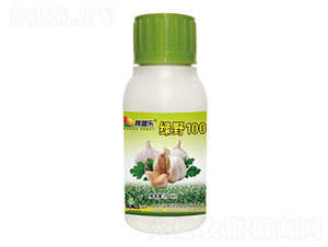 ����ר��Ҷ���-��Ұ100-�����ҵ