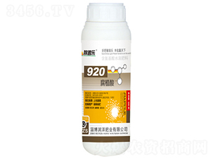 920��ֲ��-������-�����ҵ