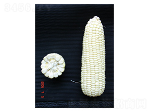 ����Ŵ1��-Ŵ��������-��ũ��