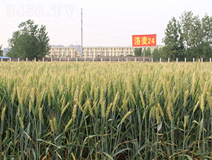 ����24-С������-��ũ��