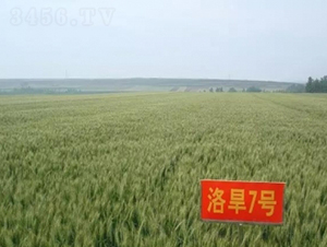 �庵7��-С������-��ũ��