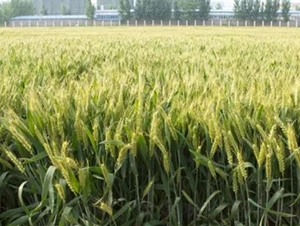 ����28-С������-��ũ��