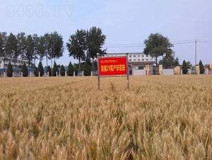 ����29-С������-��ũ��