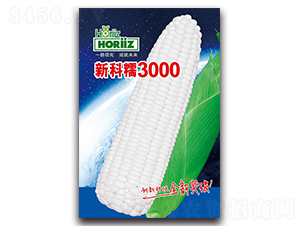 �¿�Ŵ3000-Ŵ��������-����˹