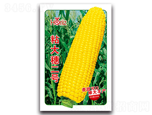 ճ�������-Ŵ��������-����˹