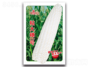 ճ����һ��-Ŵ��������-����˹