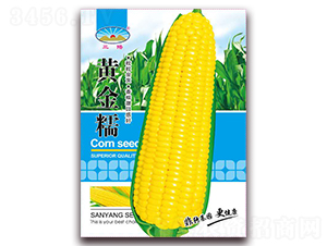 �ƽ�Ŵ-Ŵ��������-�����ҵ