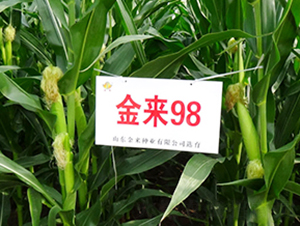 ����98-��������-������ҵ