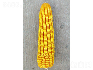 ���622-��������-�����ҵ