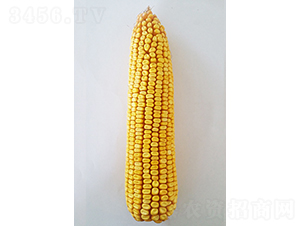 ���208-��������-�����ҵ
