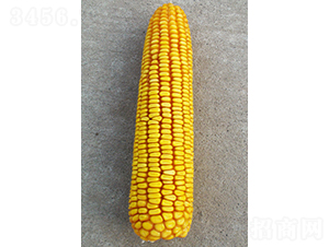 ���202-��������-�����ҵ