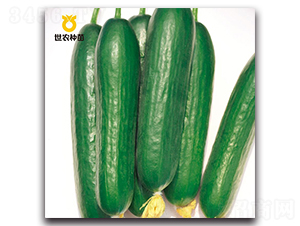 SN8309-�ƹ�����-��ũ����