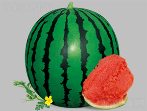 �汦�����-��������-������ҵ