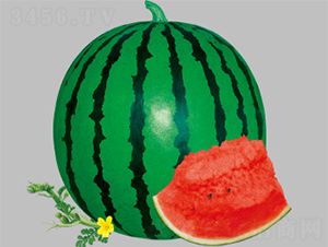 ����-7-��������-������ҵ