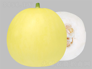 ����20-�������-������ҵ