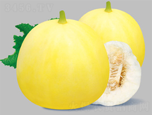 �ǳ�����-�������-������ҵ