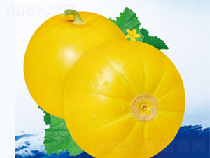 �ƽ𱦶���-�������-������ҵ