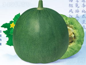 ���Ǵ౦-�������-������ҵ