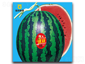 SN����-��������-��ũ����