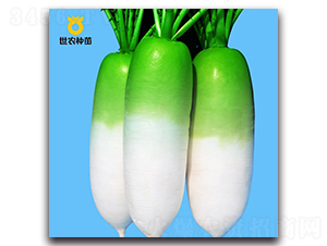 ��ũ816-�ܲ�����-��ũ����