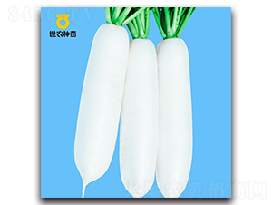 ѩ��-�ܲ�����-��ũ����