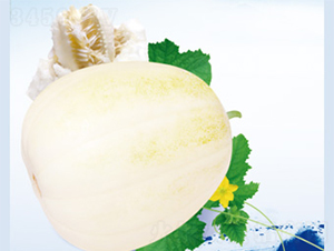 ����198-�������-������ҵ