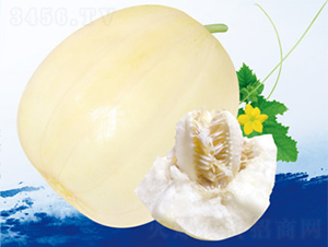 ά��һ��-�������-������ҵ