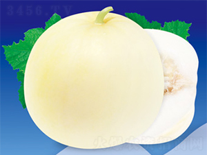 �����ŵ�-�������-������ҵ