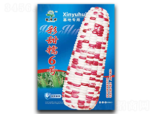 ����Ŵ6��-��������-ԥ����ҵ