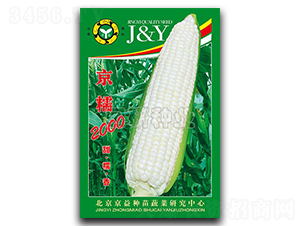 ��Ŵ2000-Ŵ��������-������ҵ