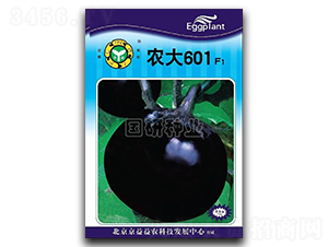 ũ��601-��������-������ҵ