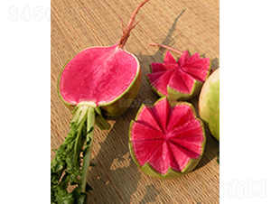 �������ӽ��ܲ�-�ܲ�����-������ҵ