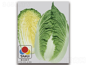 TI-12N-�ײ�����-��������