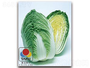 TI-07M-�ײ�����-��������