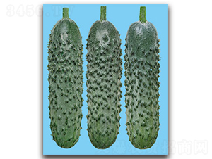 ����-�ƹ�����-��������