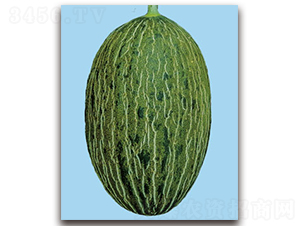 TI-09E-�������-��������