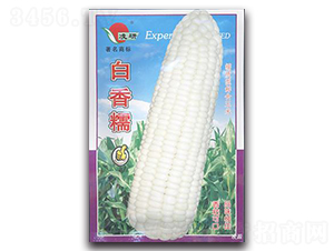����Ŵ-Ŵ��������-�ʴ�ũҵ