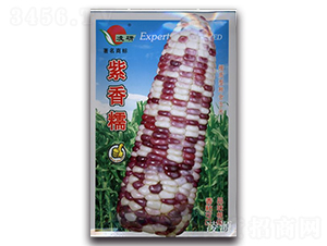 ����Ŵ-Ŵ��������-�ʴ�ũҵ