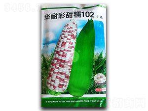 ���Ͳ���Ŵ102-��������-�������