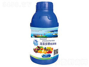 ������ǰ����ᣨ500g��-�����